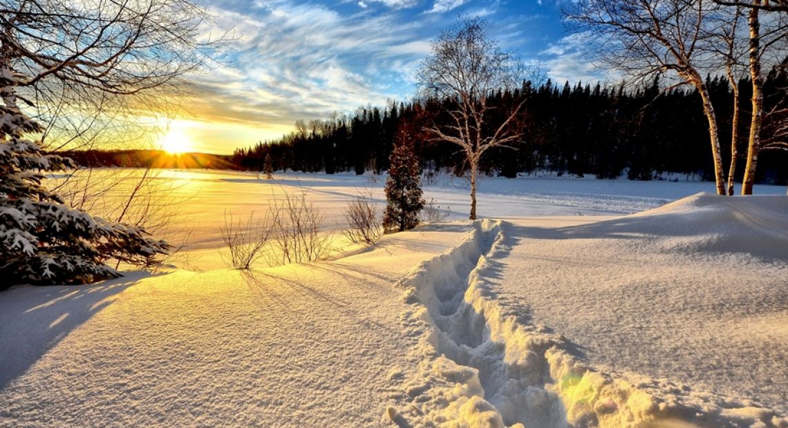 winter-landscape-636634_1920.jpg