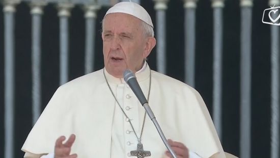 opca-audijnecija-3005