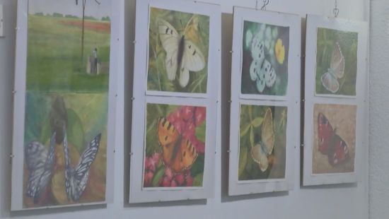 izlozba-leptiri