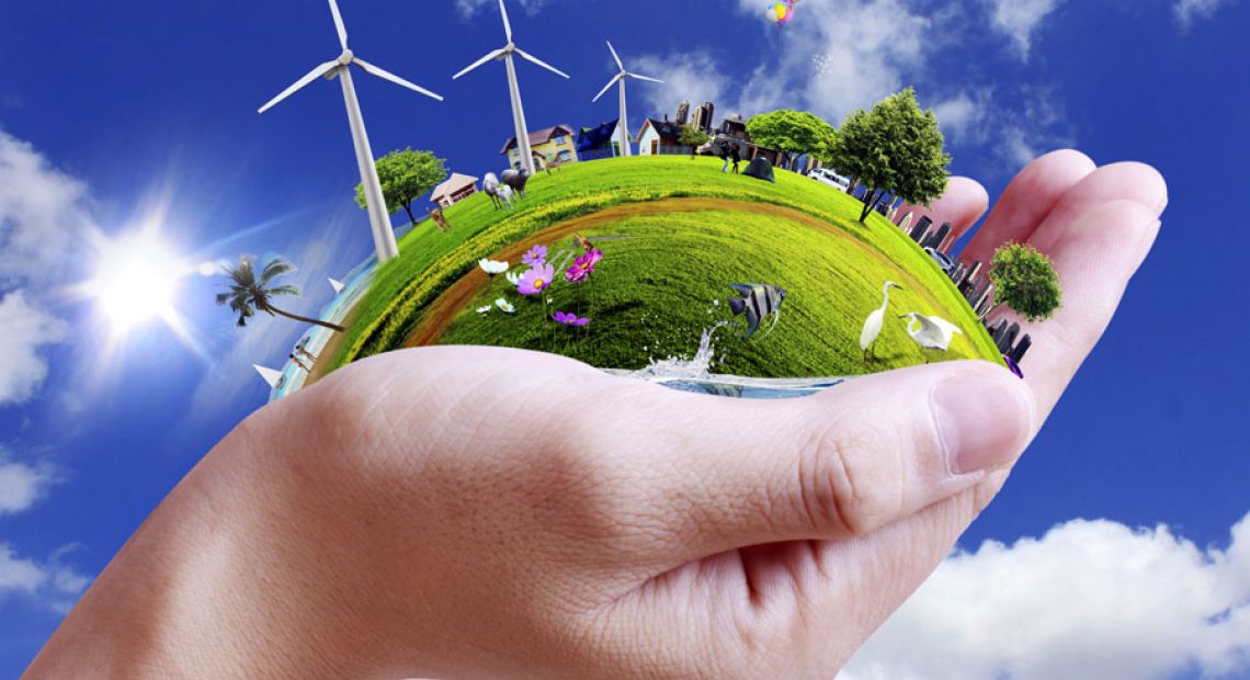 environment-(1).jpg