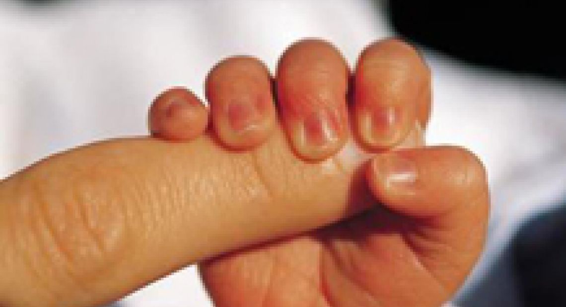 prolife2.jpg