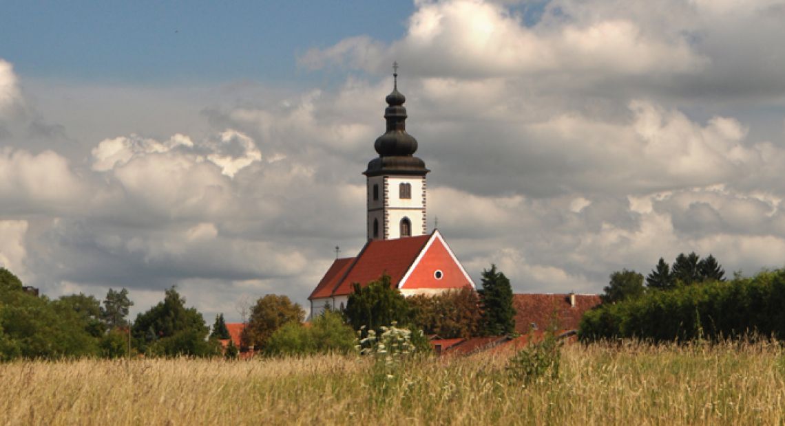 zk01.jpg