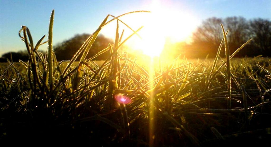 mornig_sun.jpg