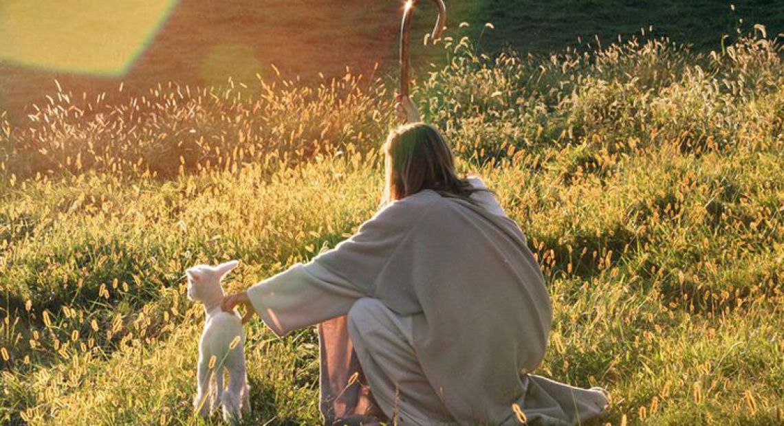 He-is-my-shepherd-jesus-37449728-736-490.jpg