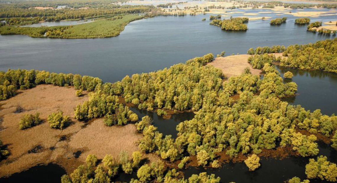 floodplains_of_the_danube_in_croatia_kopacki_rit__mario_romulic__www_romulic_com.jpg