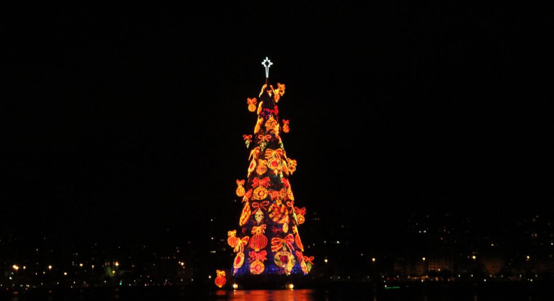 blog_xmas-tree.jpg