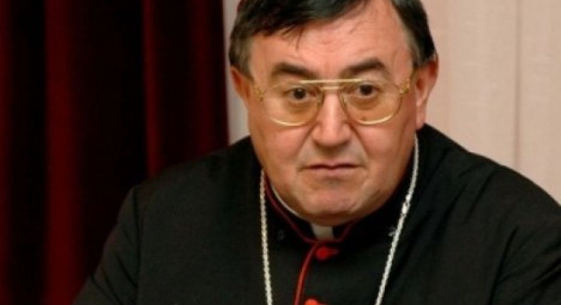 kardinal-puljic.jpg
