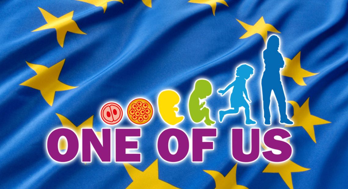 One-of-Us-EU-Flag.jpg
