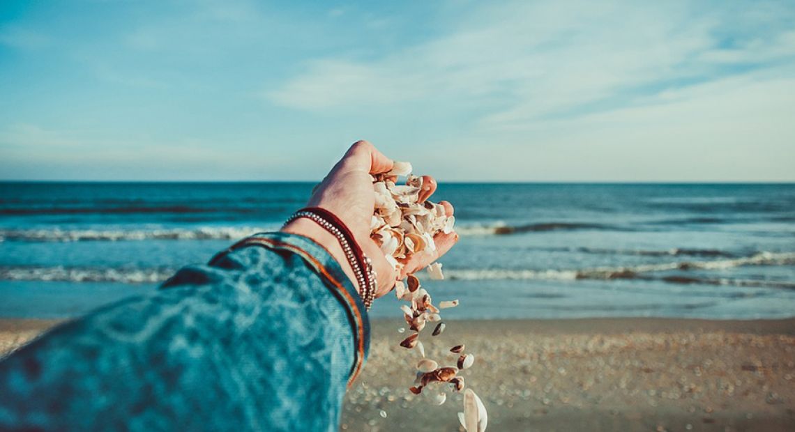 seashells-1082002_960_720.jpg