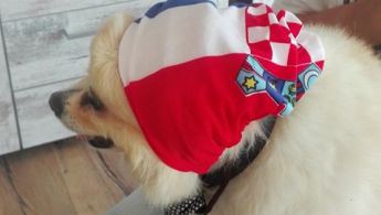 36915104_10209705766161016_8164449361854464_n