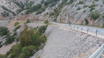 13843431_1051270728242522_1385636423_o