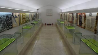 poz-11