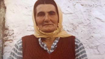 8cf991209eab9ccdff5f