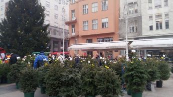 15555680_10154712775789693_101108591_n