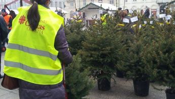 15592259_10154712829564693_1549452924_n