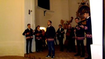 Koncert Gimnazija peta