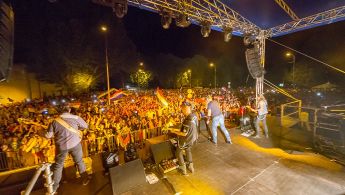 thumbnail__MG_8355-2