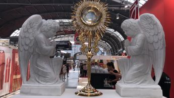 16692059-9679-479f-b98b-38a65efd57d5