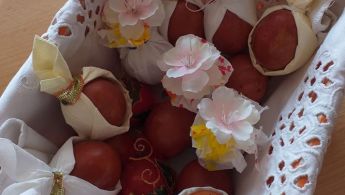 93418460_673326030097394_7319727104021495808_o