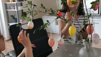 93564255_257487378979459_6206698058818781184_o