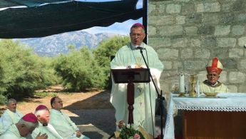 IMG-d81bf4dfce37148b92c464df05104a2f-V