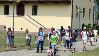 IMG_2726