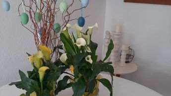 92890156_2668489126716282_4521117209832980480_o