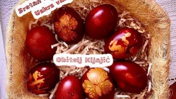 93209456_2574982382715196_2710028135033733120_n