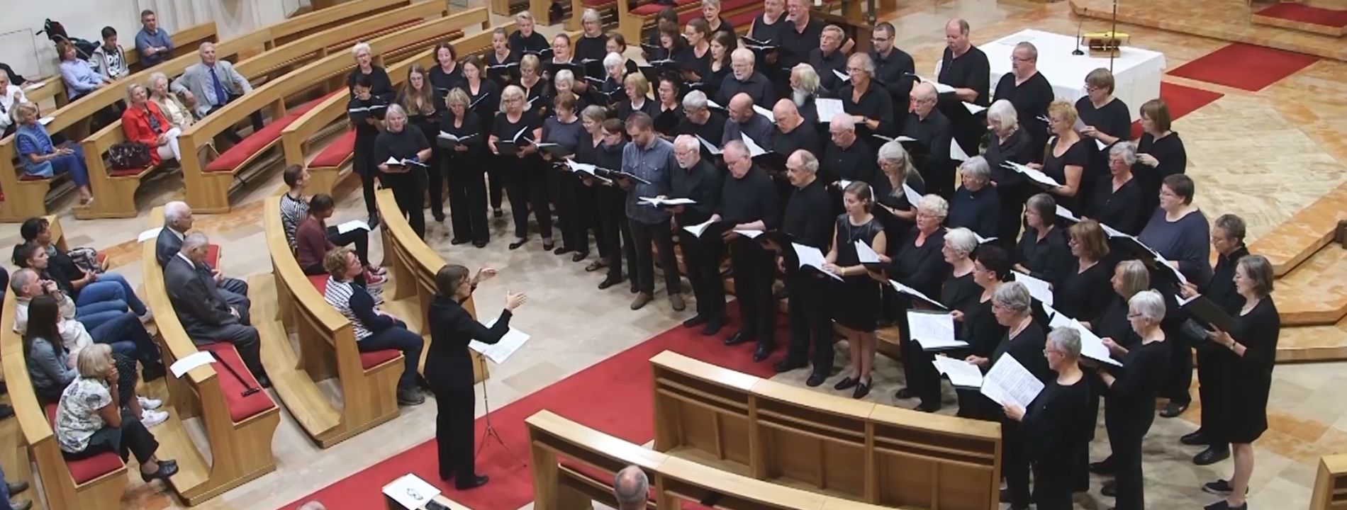 koncert-konkatedrala