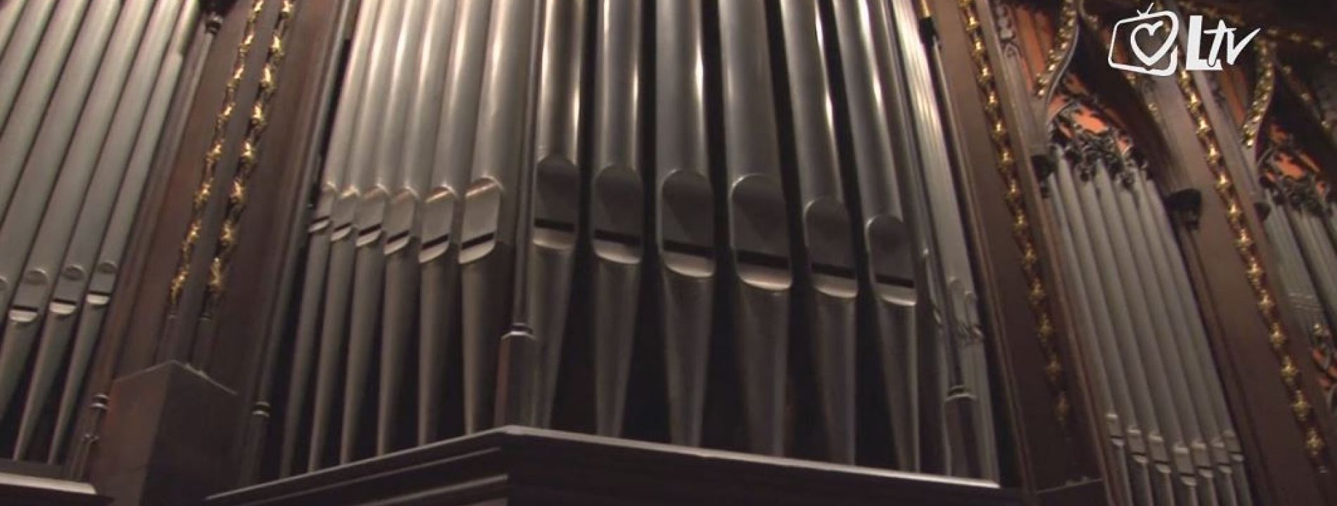 orgulje-4