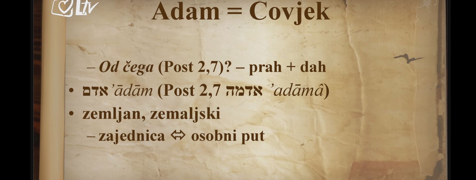 adam-4