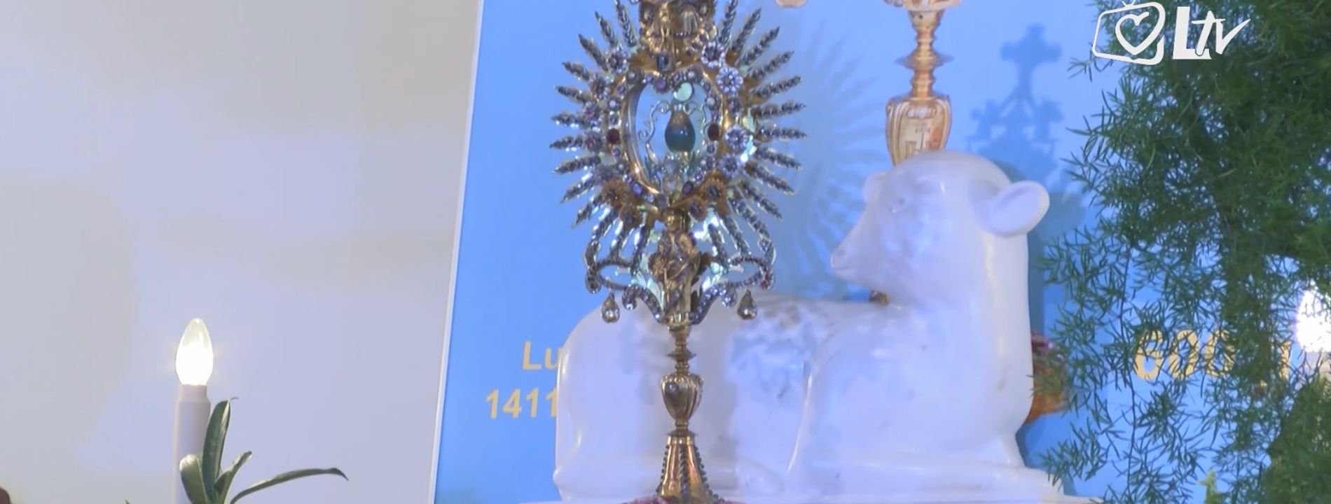 ludbreg-sveta-nedelj