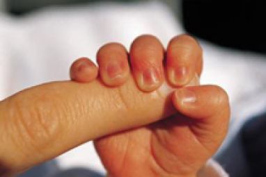 prolife2.jpg