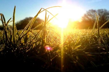 mornig_sun.jpg