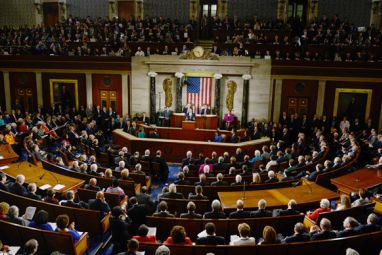 US-Congress-AFPP.jpg