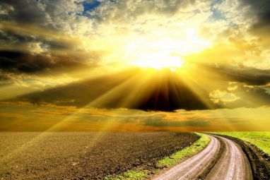 road-in-the-field-309-1920x1200.jpg