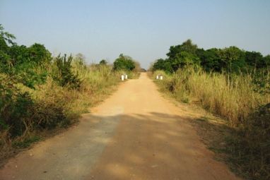 cesta.jpg
