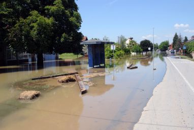 rajevo.jpg