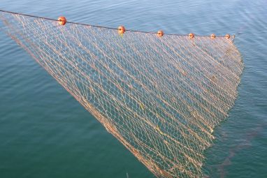 ribarska_mreza.jpg