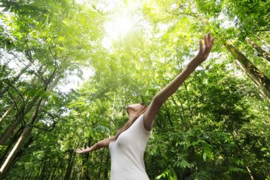 Woman_Sun_Woods.jpg