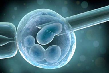 in-vitro-2.jpg