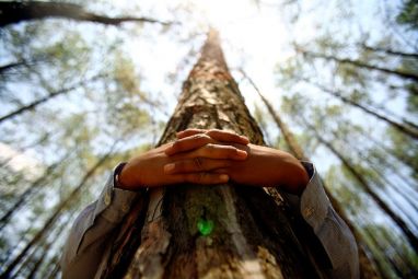tree.jpg