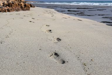 footprints-2137295_960_720.jpg