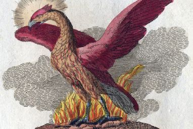 Phoenix-Fabelwesen.jpg