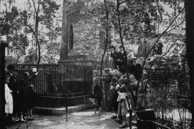 90-_godina_-_kula_-_zacarani_dvor_1926.jpg