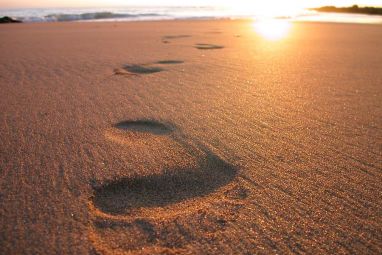 footsteps-in-the-sand-2.jpg