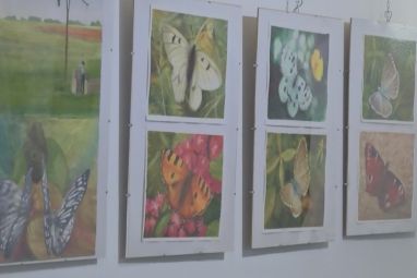izlozba-leptiri