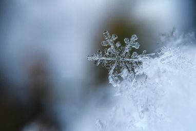 snowflake-1245748_1280.jpg
