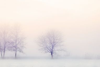 winter-landscape-2571788_1280.jpg