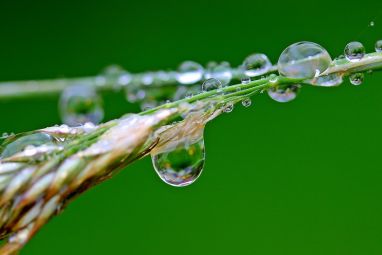 raindrop-1587994_960_720.jpg